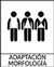 Adaptación morfología