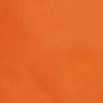 Sarga pol. caldera -619