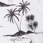 Coconut 1132